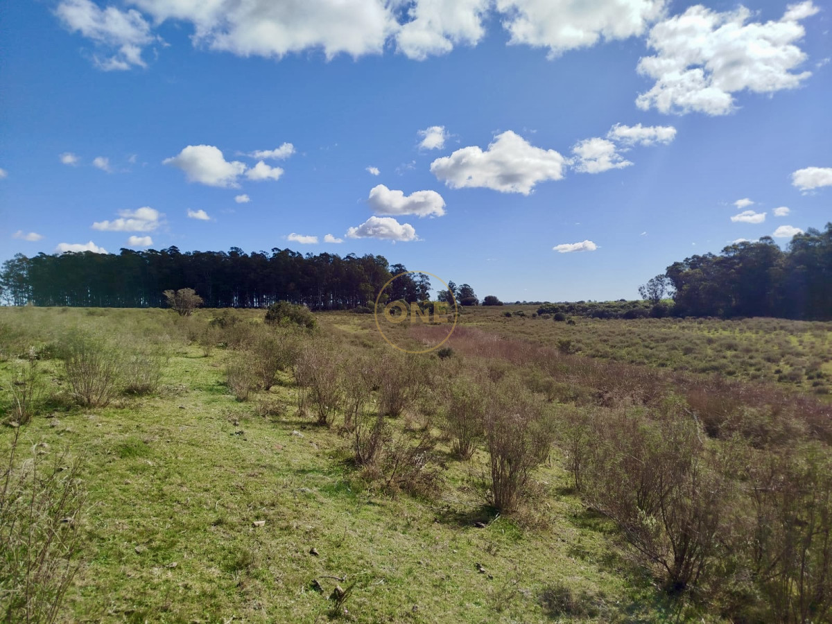 Campo Ref.1906 - Campo en Solís de Mataojo 34 hectáreas con arroyo y casa a la venta 