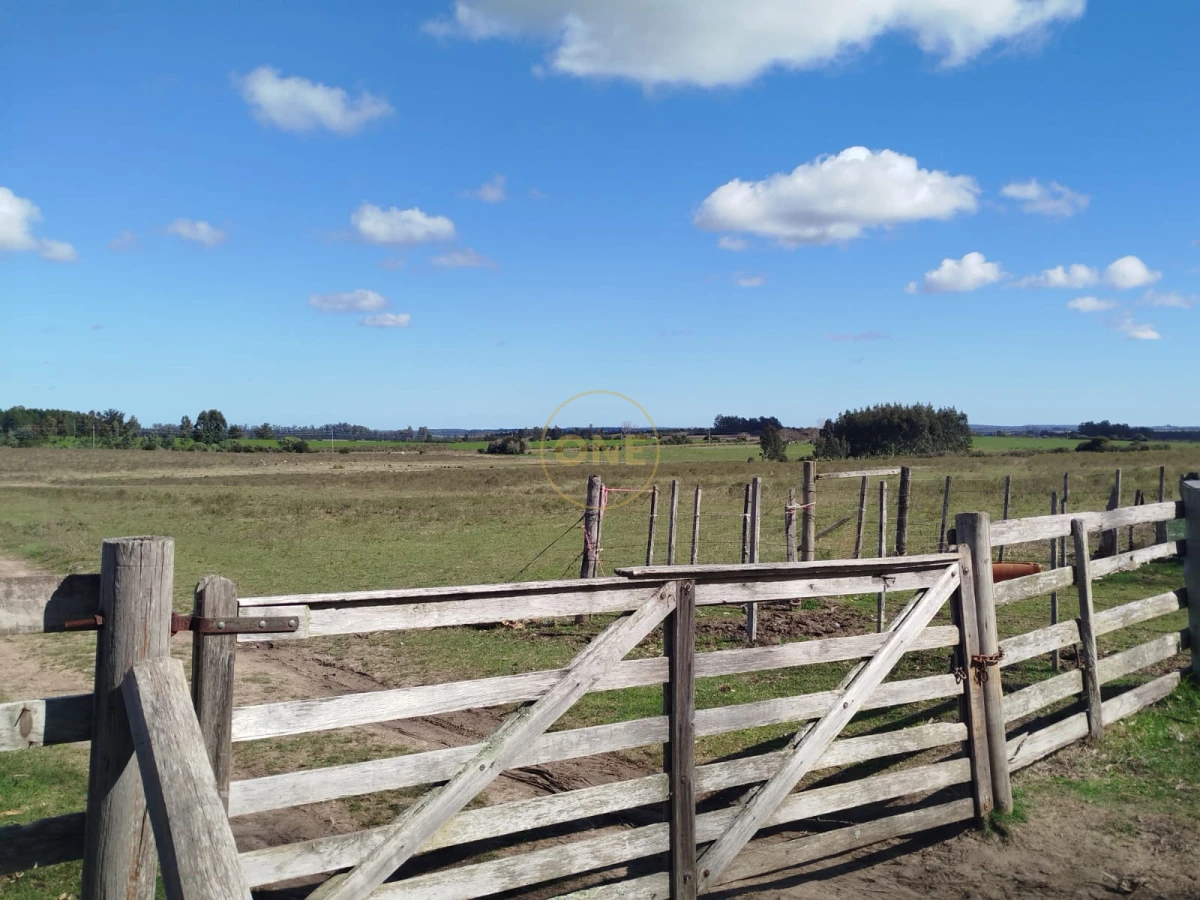 Campo Ref.1906 - Campo en Solís de Mataojo 34 hectáreas con arroyo y casa a la venta 
