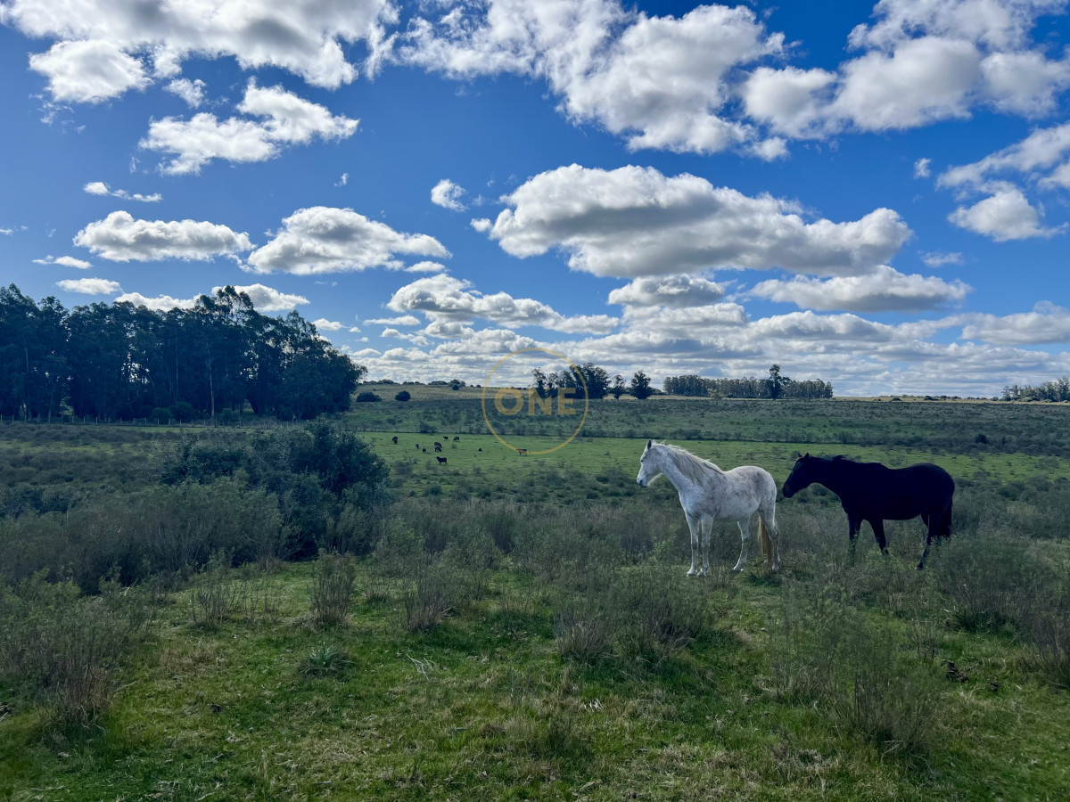 Campo Ref.1906 - Campo en Solís de Mataojo 34 hectáreas con arroyo y casa a la venta 