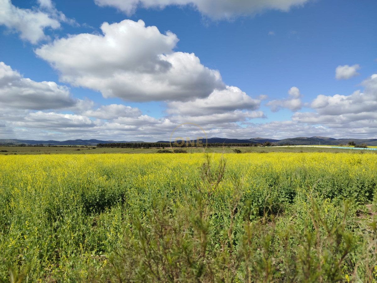 Campo Ref.1906 - Campo en Solís de Mataojo 34 hectáreas con arroyo y casa a la venta 