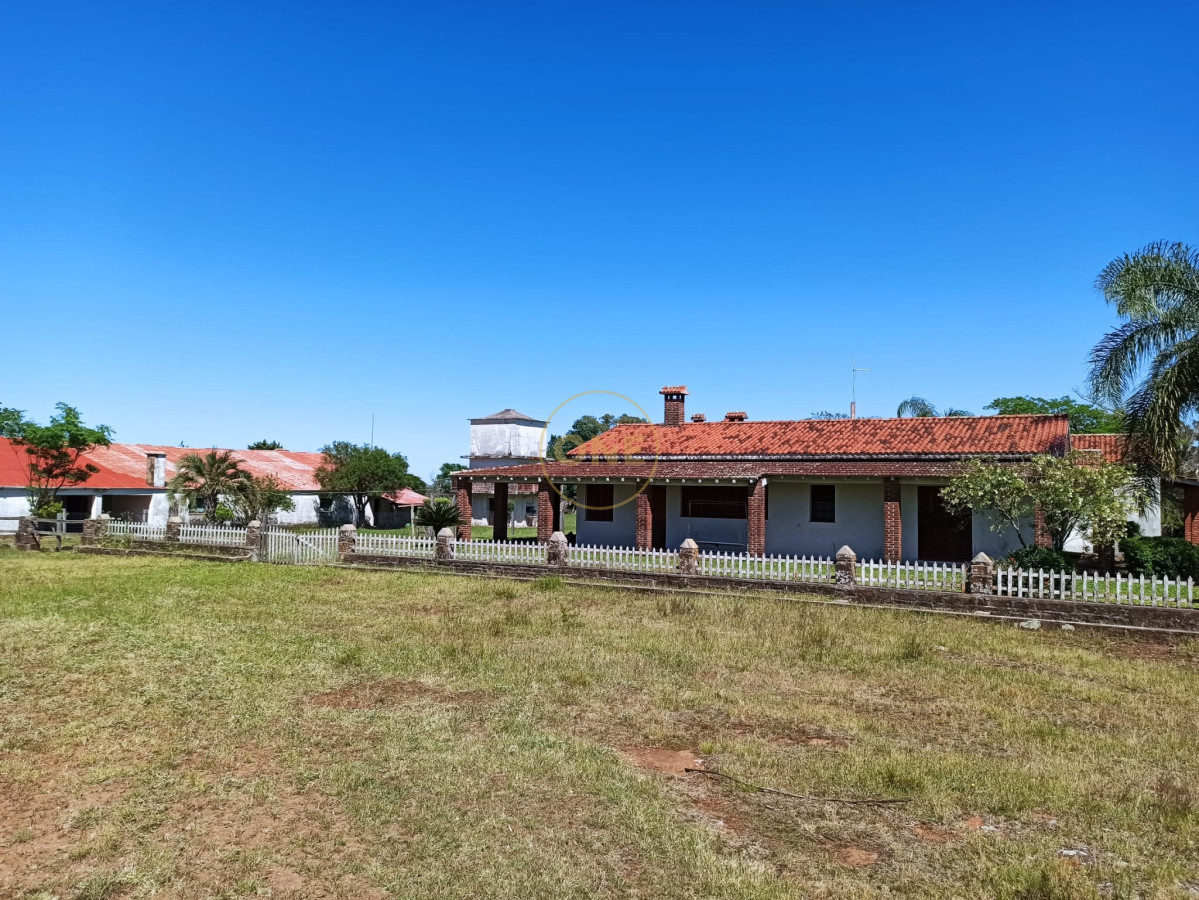Campo Ref.1815 - Campo Agricola Ganadero en venta 2398 hectáreas en Artigas Uruguay 