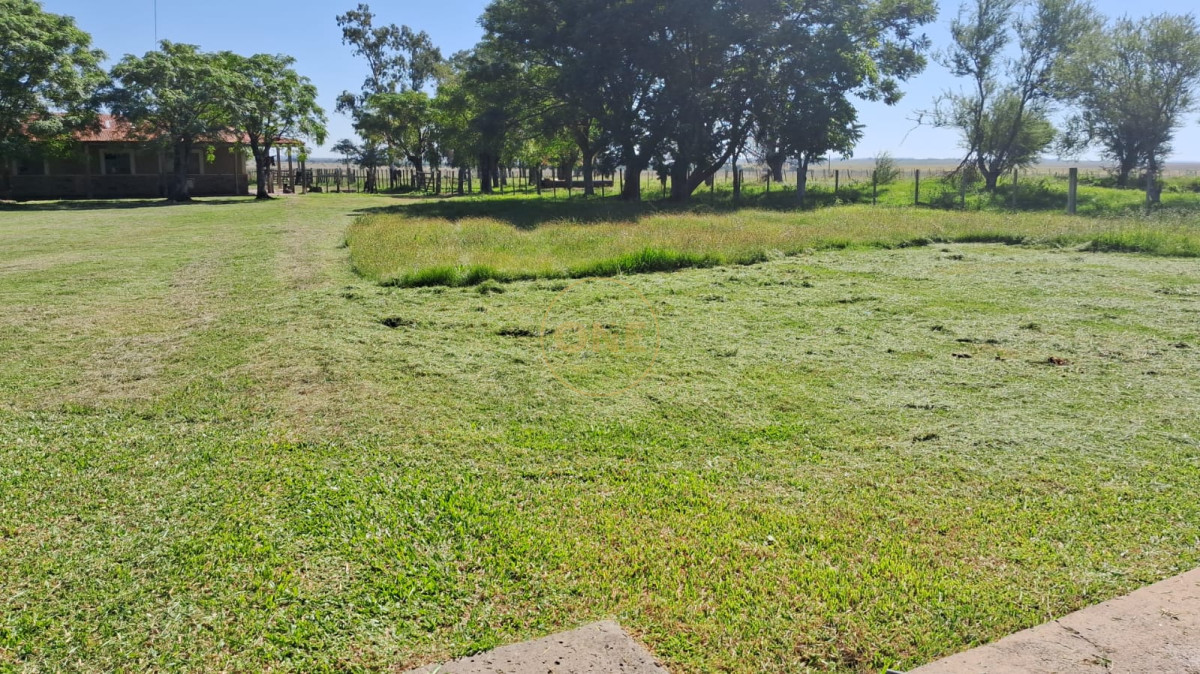 Campo Ref.1815 - Campo Agricola Ganadero en venta 2398 hectáreas en Artigas Uruguay 