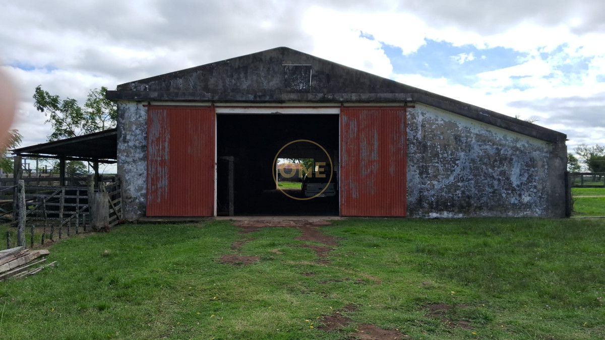 Campo Ref.1815 - Campo Agricola Ganadero en venta 2398 hectáreas en Artigas Uruguay 
