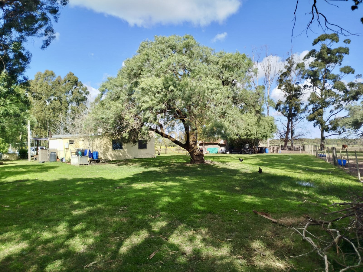 Campo Ref.1906 - Campo en Solís de Mataojo 34 hectáreas con arroyo y casa a la venta 