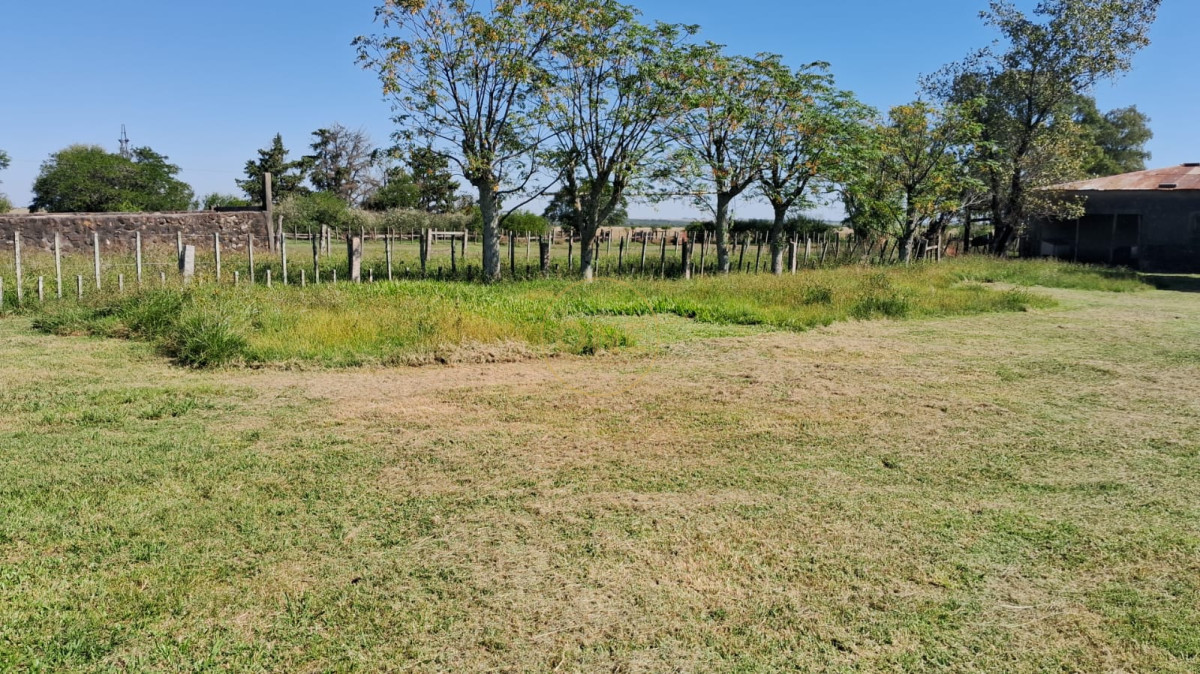 Campo Ref.1815 - Campo Agricola Ganadero en venta 2398 hectáreas en Artigas Uruguay 