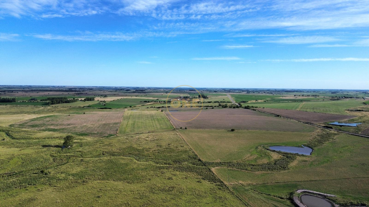Campo Ref.1575 - venta de Campo de 150 hectáreas en Curva Matonte Florida 