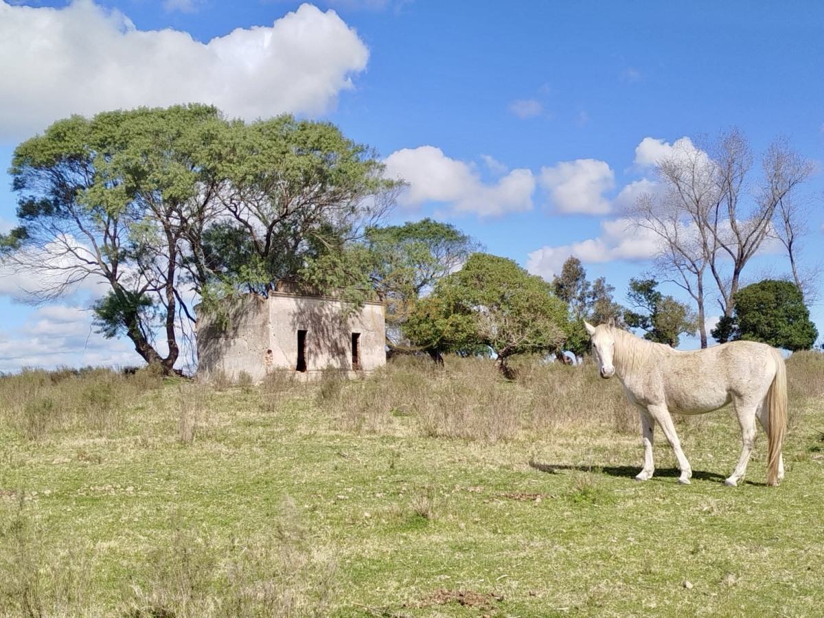 Campo Ref.1906 - Campo en Solís de Mataojo 34 hectáreas con arroyo y casa a la venta 