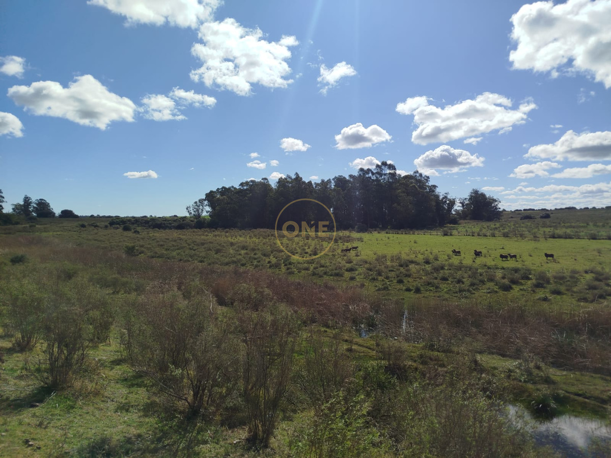 Campo Ref.1906 - Campo en Solís de Mataojo 34 hectáreas con arroyo y casa a la venta 