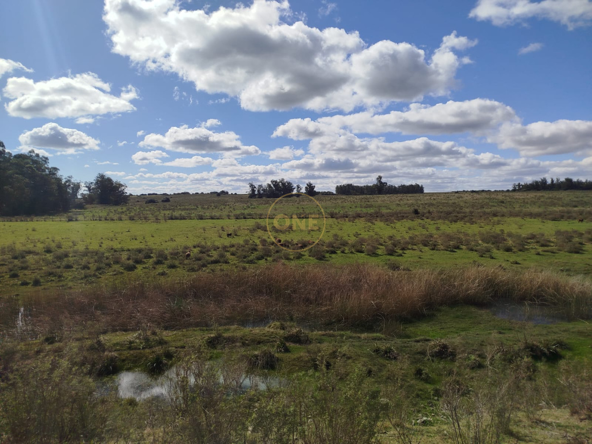 Campo Ref.1906 - Campo en Solís de Mataojo 34 hectáreas con arroyo y casa a la venta 