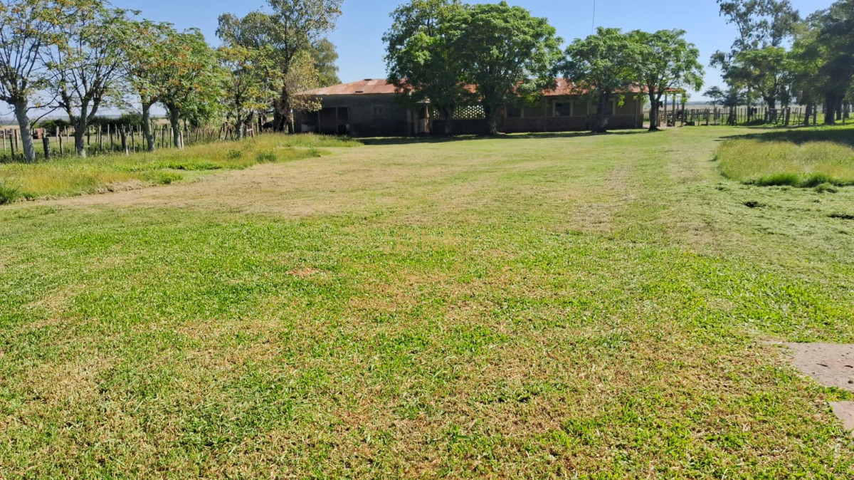 Campo Ref.1815 - Campo Agricola Ganadero en venta 2398 hectáreas en Artigas Uruguay 