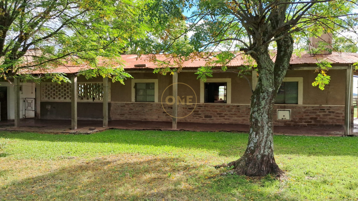 Campo Ref.1815 - Campo Agricola Ganadero en venta 2398 hectáreas en Artigas Uruguay 
