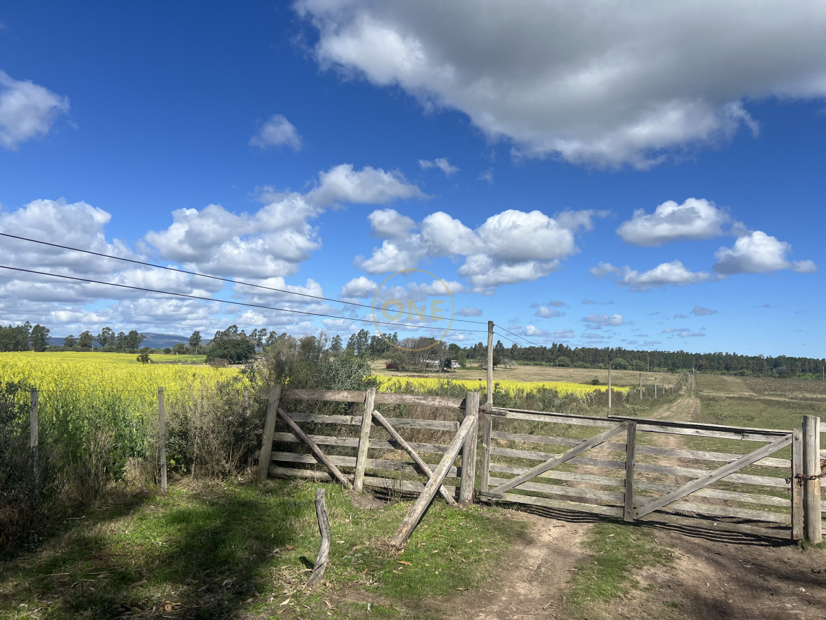 Campo Ref.1906 - Campo en Solís de Mataojo 34 hectáreas con arroyo y casa a la venta 