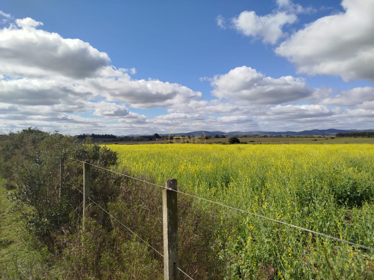 Campo Ref.1906 - Campo en Solís de Mataojo 34 hectáreas con arroyo y casa a la venta 