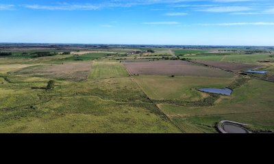 Oportunidad Campo Productivo en Florida 150 hectareas.