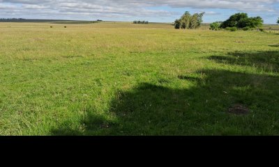 Campo Agricola Ganadero en venta 2398 hectáreas en Artigas Uruguay