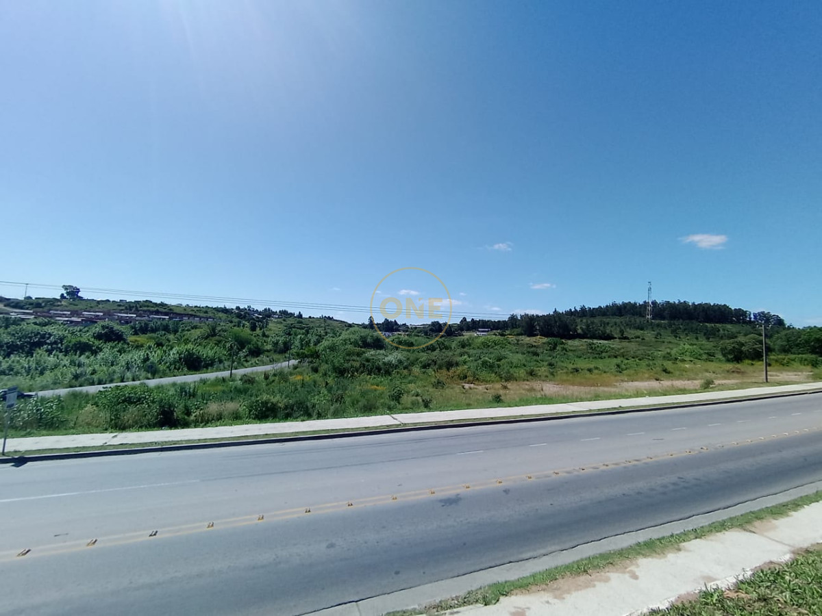 Terreno ID.1651 - Terreno en venta 65.000 m2 frente a la terminal de ómnibus de Minas