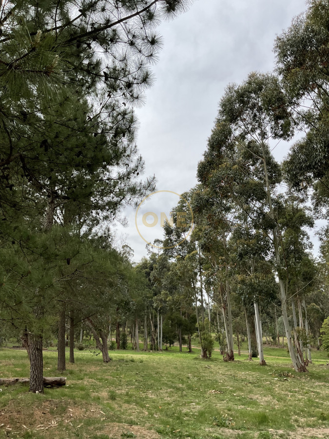 Terreno ID.1968 - Terreno en Chacras del pinar