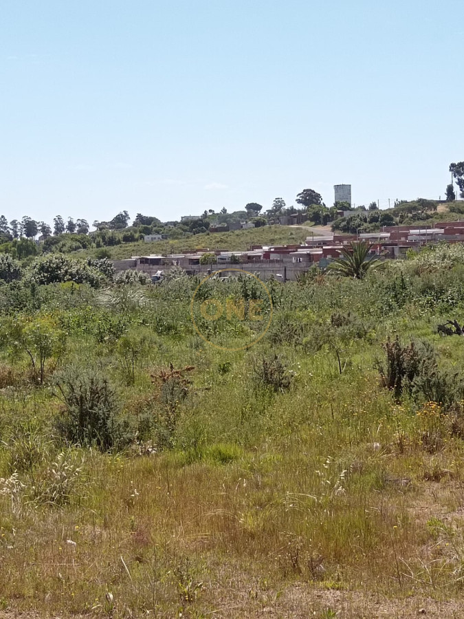 Terreno ID.1651 - Terreno en venta 65.000 m2 frente a la terminal de ómnibus de Minas