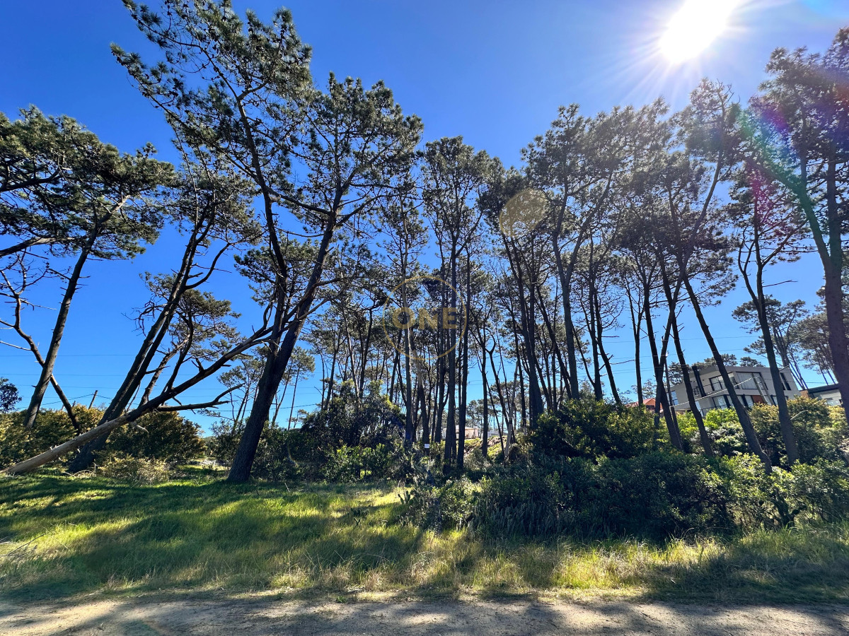 Terreno ID.1907 - Terreno en OCEAN PARK, a pocos metros del mar