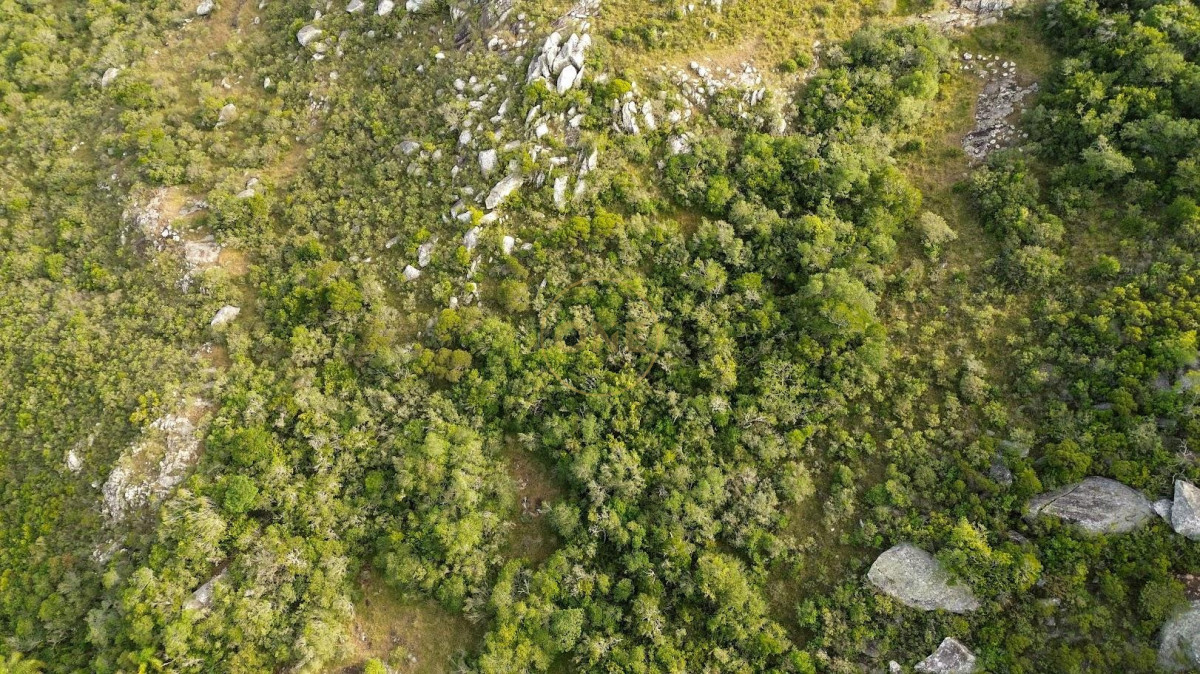 Terreno ID.1992 - Entre Cañadas y Silencios: 7 Hectáreas y media en Aiguá
