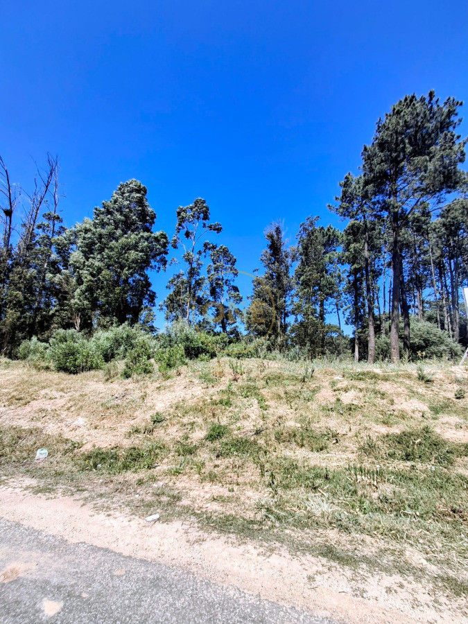 Terreno ID.1964 - Lindo terreno 537 m2 en Lausana