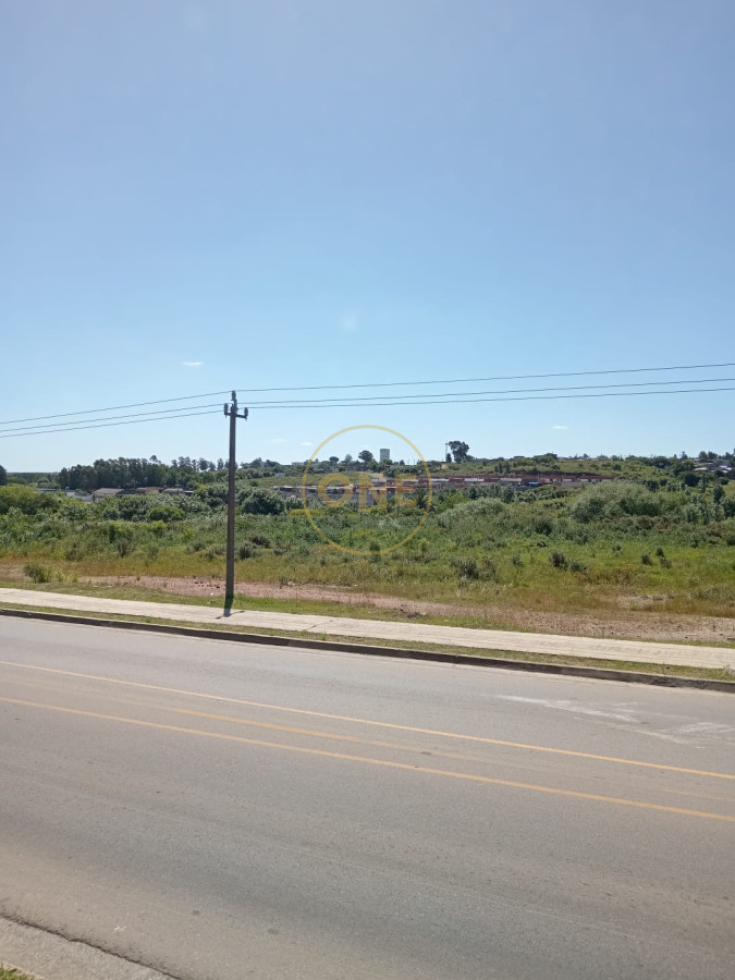 Terreno ID.1651 - Terreno en venta 65.000 m2 frente a la terminal de ómnibus de Minas