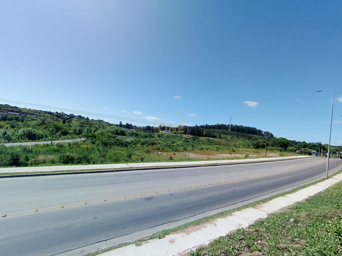 Terreno ID.1651 - Terreno en venta 65.000 m2 frente a la terminal de ómnibus de Minas