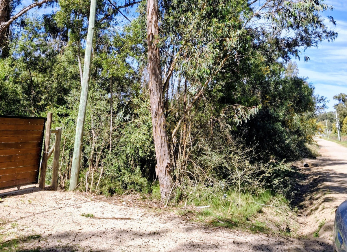 Terreno ID.1903 - Lindo Terreno Ocean Park