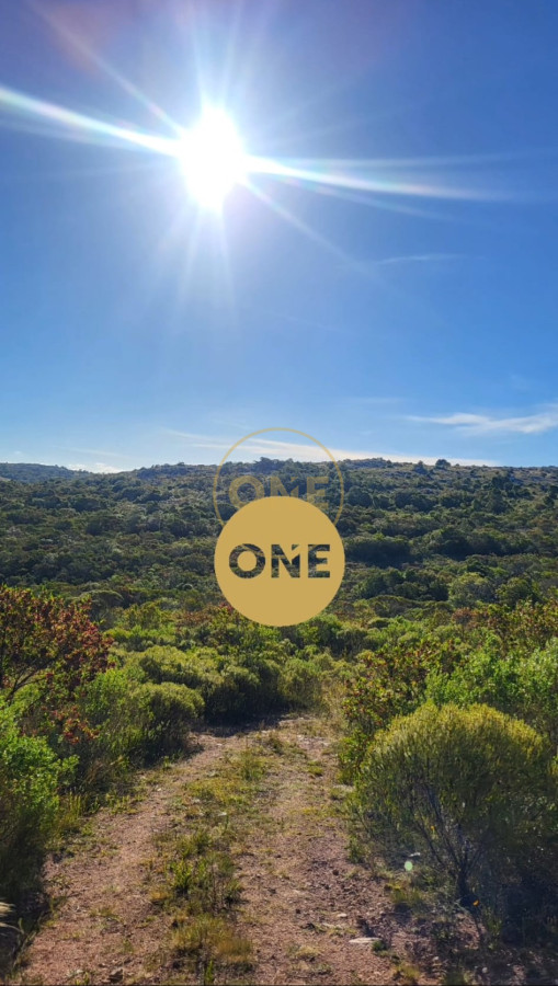 Terreno ID.1993 - Chacras de 5 hectáreas en las sierras de Aiguá. Monte nativo, cañadas, excelentes vista.