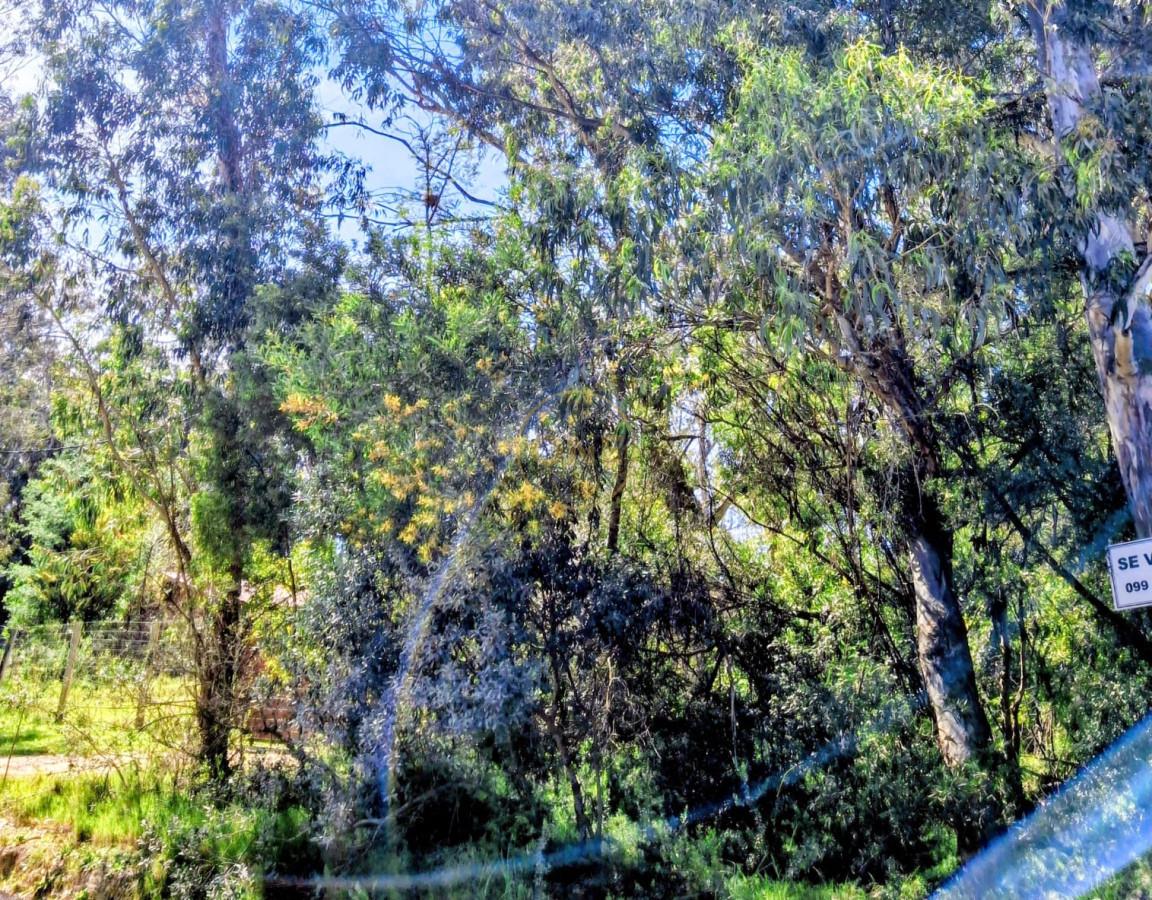 Terreno ID.1903 - Lindo Terreno Ocean Park