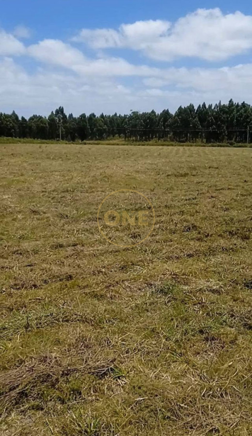 Terreno ID.2178 - Venta de terreno en San Carlos
