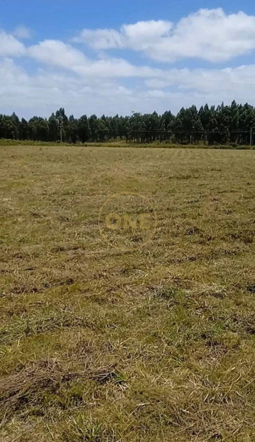 Terreno ID.2178 - Venta de terreno en San Carlos