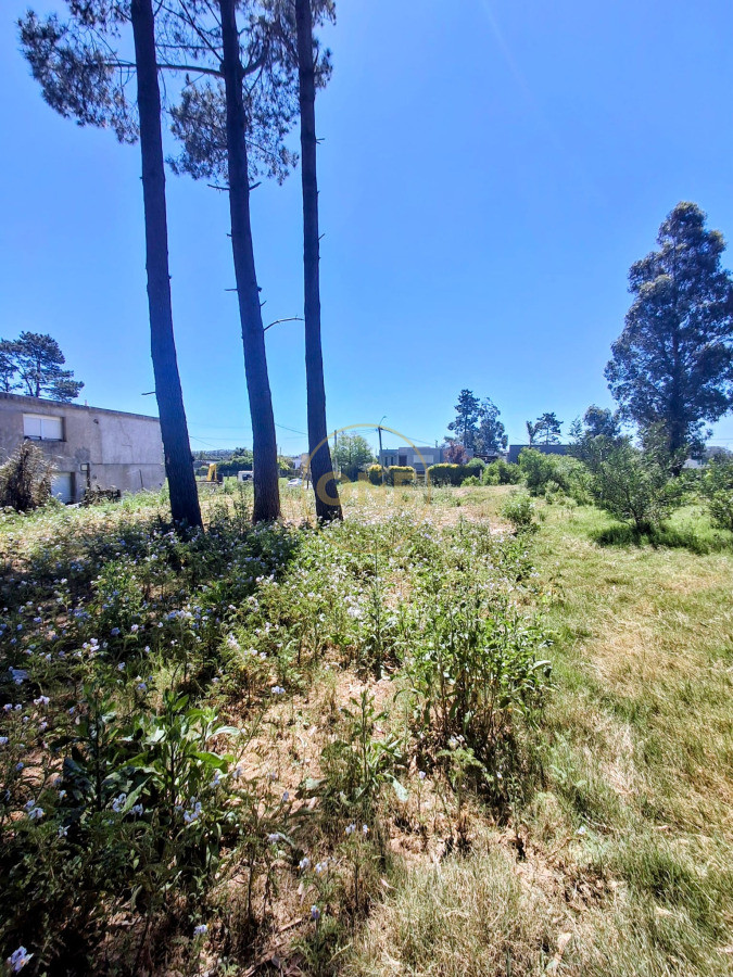 Terreno ID.1964 - Lindo terreno 537 m2 en Lausana