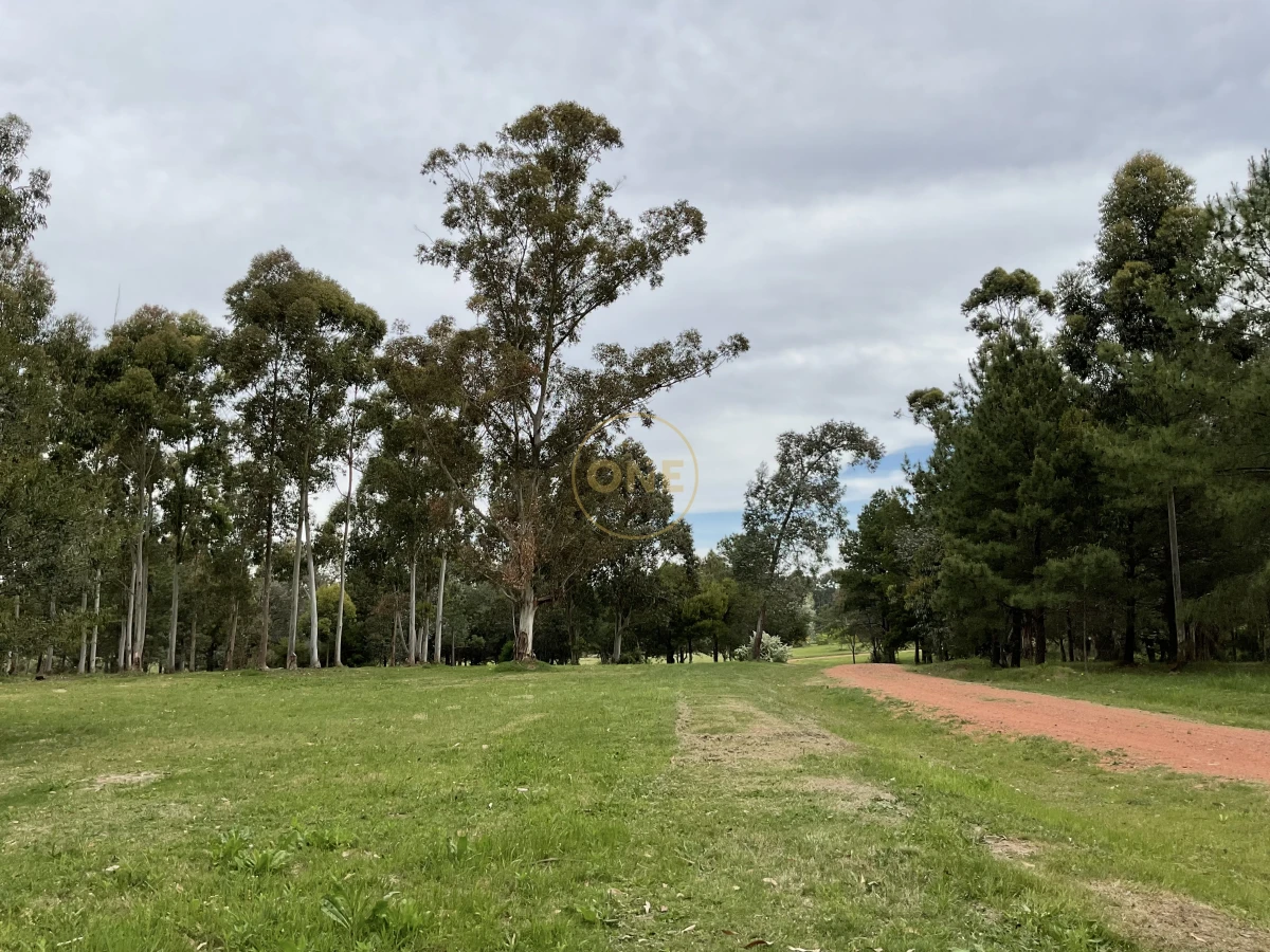 Terreno ID.1968 - Terreno en Chacras del pinar