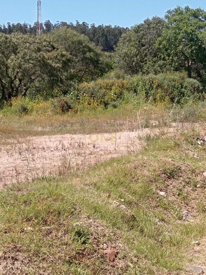 Terreno ID.1651 - Terreno en venta 65.000 m2 frente a la terminal de ómnibus de Minas