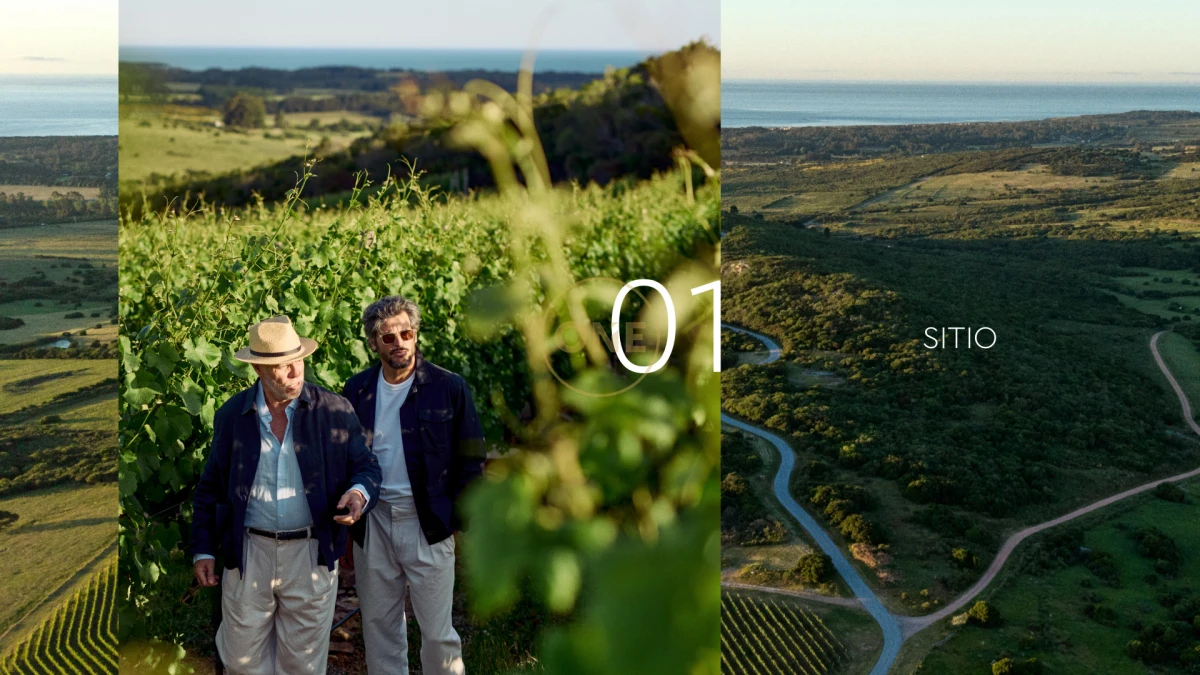 Terreno ID.2036 - Lotes Exclusivos en Agreste entorno natural único Punta negra Maldonado en venta