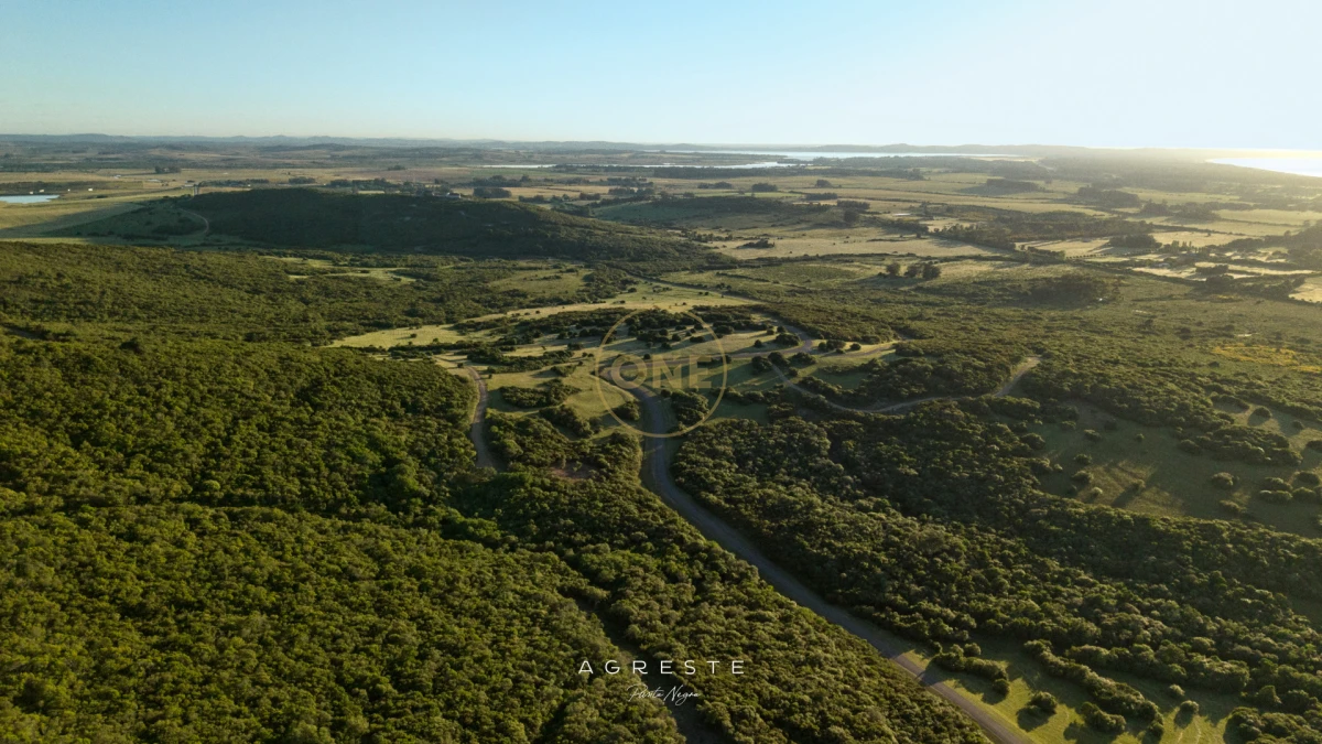 Terreno ID.2036 - Lotes Exclusivos en Agreste entorno natural único Punta negra Maldonado en venta