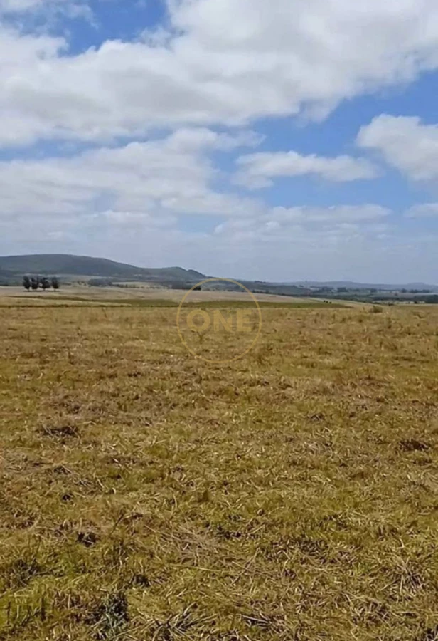 Terreno ID.2178 - Venta de terreno en San Carlos