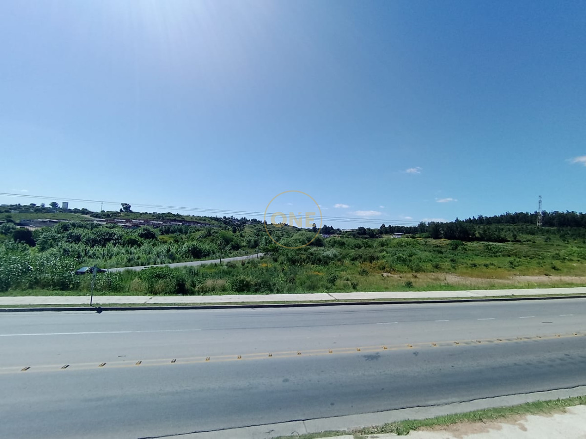 Terreno ID.1651 - Terreno en venta 65.000 m2 frente a la terminal de ómnibus de Minas