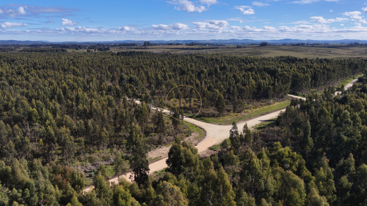 Terreno ID.2115 - Terreno en Manantiales, Manantiales