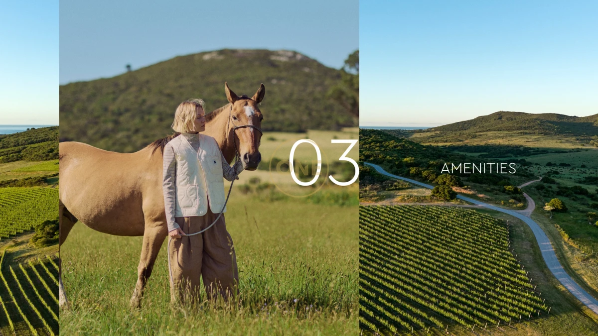 Terreno ID.2036 - Lotes Exclusivos en Agreste entorno natural único Punta negra Maldonado en venta