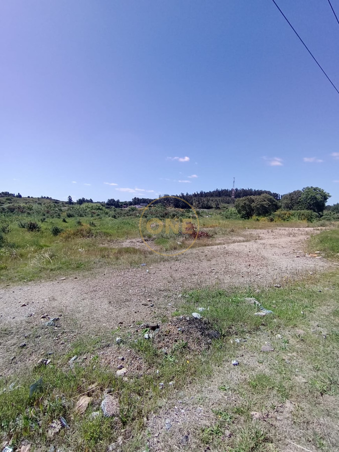 Terreno ID.1651 - Terreno en venta 65.000 m2 frente a la terminal de ómnibus de Minas
