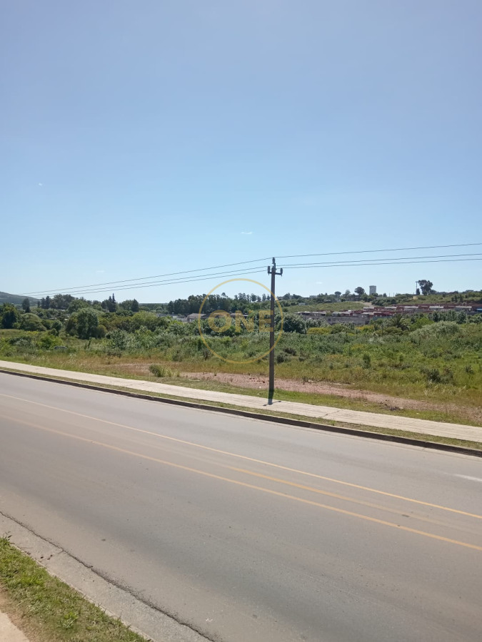 Terreno ID.1651 - Terreno en venta 65.000 m2 frente a la terminal de ómnibus de Minas