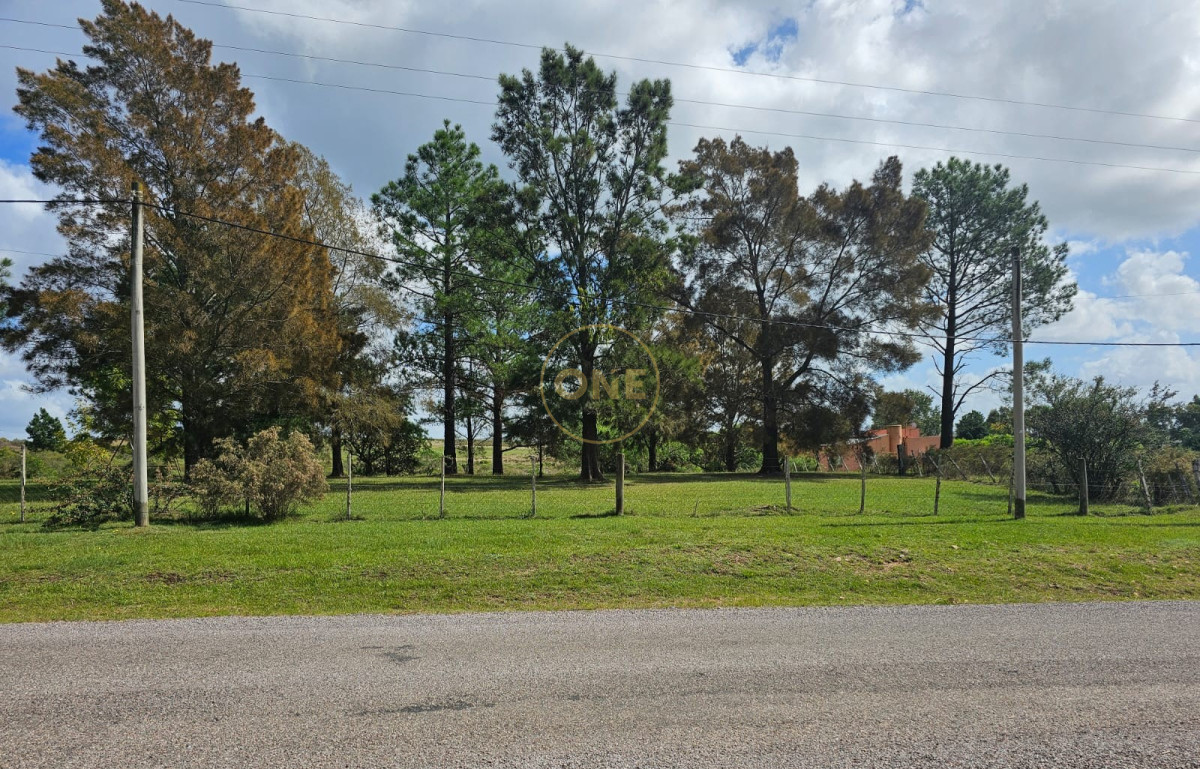 Terreno ID.1664 - VENTA TERRENO 10439M2 MINAS