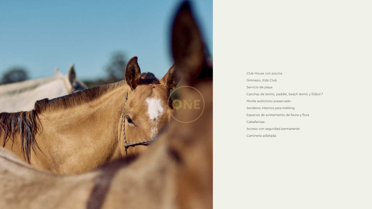 Terreno ID.2036 - Lotes Exclusivos en Agreste entorno natural único Punta negra Maldonado en venta