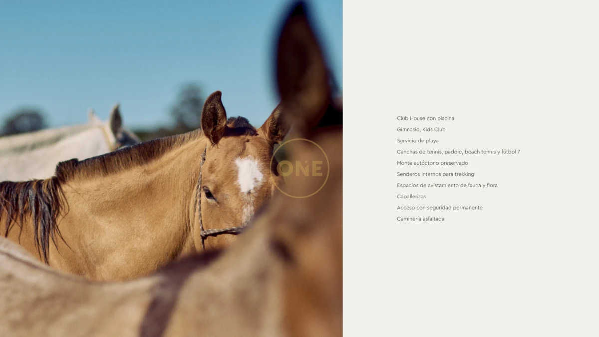 Terreno ID.2036 - Lotes Exclusivos en Agreste entorno natural único Punta negra Maldonado en venta