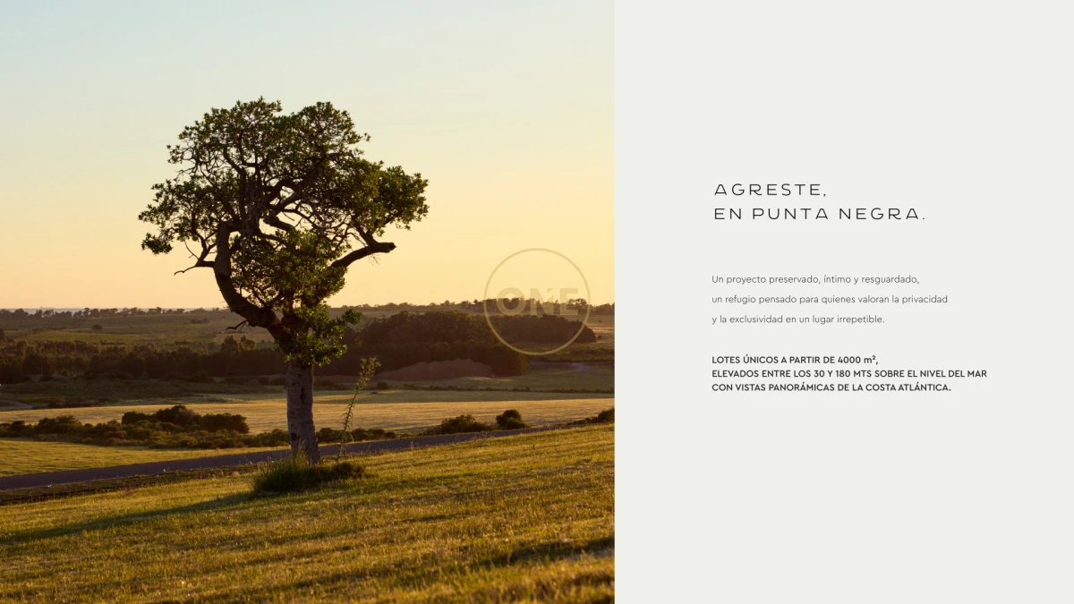 Terreno ID.2036 - Lotes Exclusivos en Agreste entorno natural único Punta negra Maldonado en venta