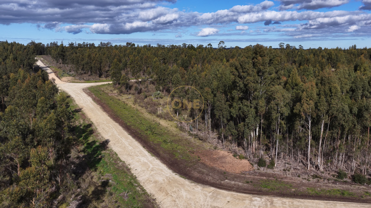 Terreno ID.2115 - Terreno en Manantiales, Manantiales
