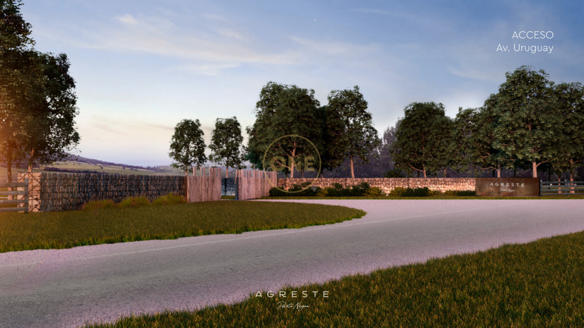 Terreno ID.2036 - Lotes Exclusivos en Agreste entorno natural único Punta negra Maldonado en venta