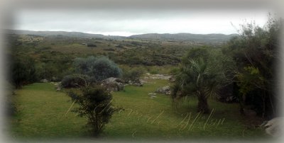 Chacra en venta, Las cañas , San Carlos 